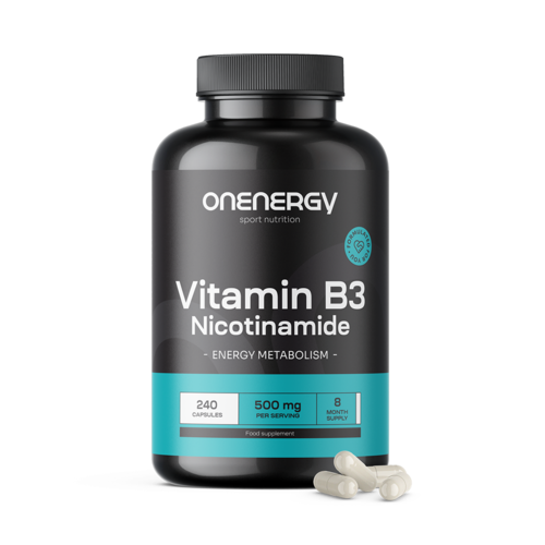 Vitamín B3 500 mg - nikotínamid, 240 kapsúl