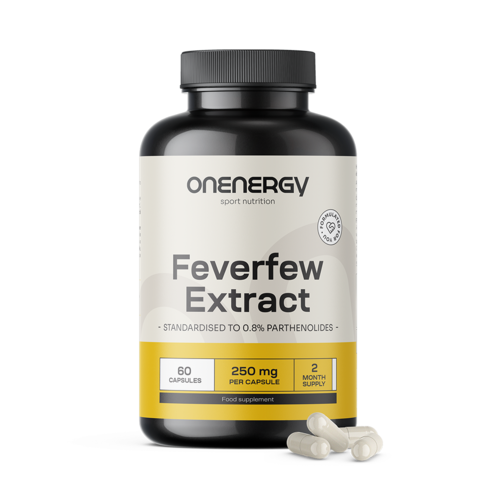 Rimbaba obyčajná (Feverfew) – extrakt, 60 kapsúl